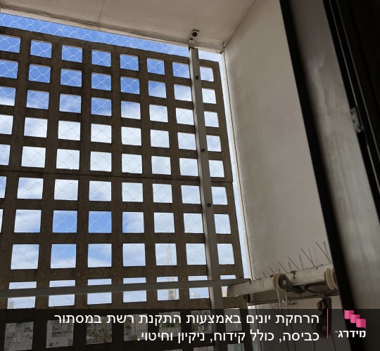 רשת מתכת למניעת כניסת יונים במרפסת